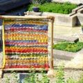 Tag_der_offenen_Tuer_23
